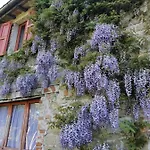 La Brocca Di Valdichiascio Gubbio