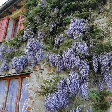 La Brocca Di Valdichiascio Gubbio