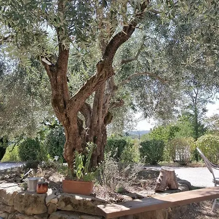 La Brocca Di Valdichiascio Feriehus
