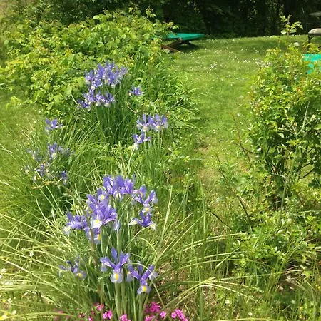 La Brocca Di Valdichiascio Holiday home