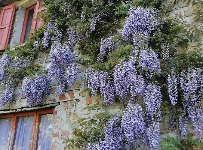La Brocca Di Valdichiascio Gubbio
