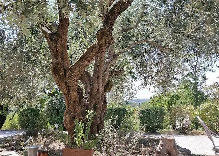 La Brocca Di Valdichiascio Casa de Férias