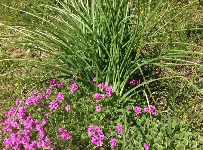 La Brocca Di Valdichiascio Casa de Férias Gubbio