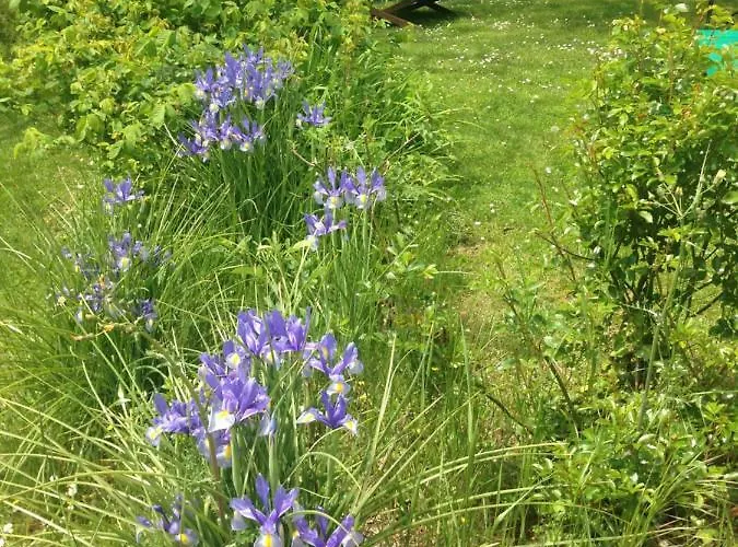 La Brocca Di Valdichiascio Casa de Férias