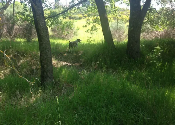 La Brocca Di Valdichiascio Gubbio